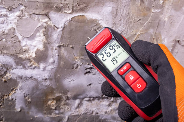 Best Best Mold Removal Companies  in Richfield, WI