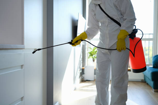Professional Mold Removal in Richfield, WI