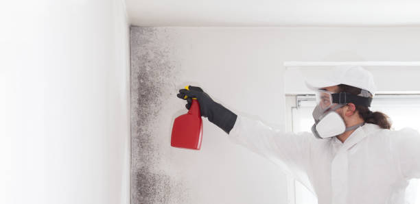 Best Residential Mold Removal  in Richfield, WI