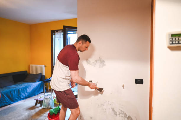 Best Affordable Mold Removal  in Richfield, WI